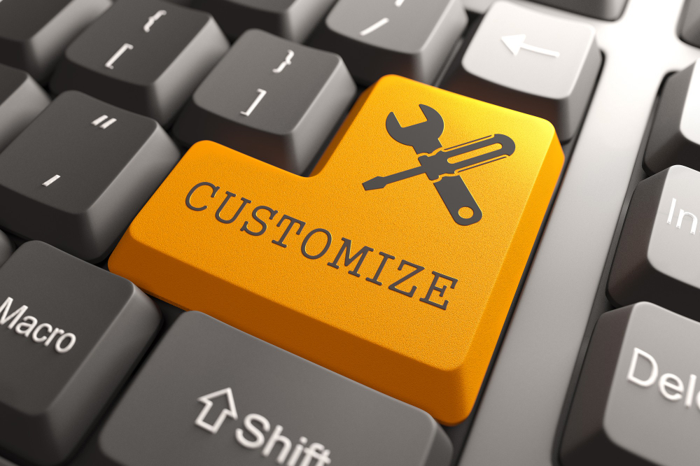 ERP Customization